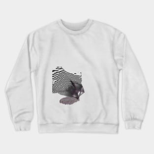 hypercube_reaction_diffusion_trails Crewneck Sweatshirt